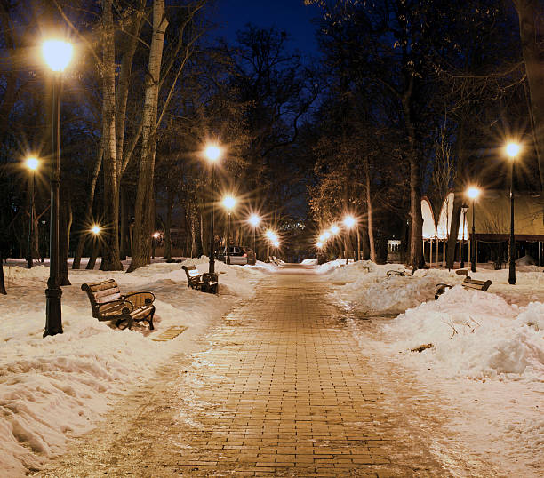 park avenue in the evening , winter lanscape stock photo