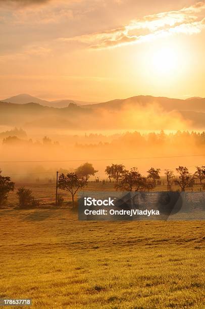 Autumn Fog Stock Photo - Download Image Now - Autumn, Black Color, Branch - Plant Part