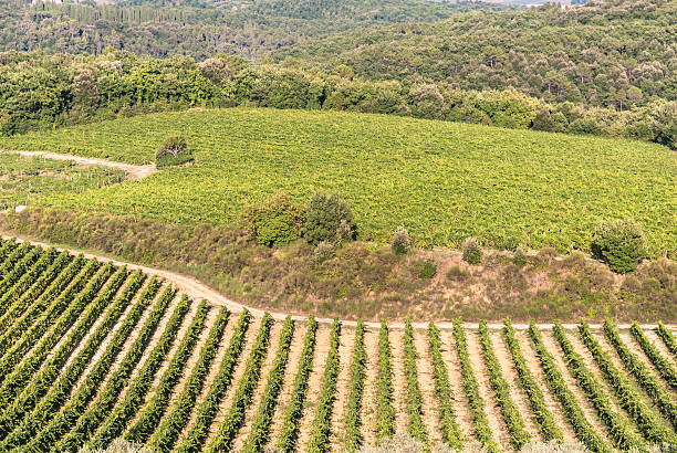 Chianti wine region, Tuscany. stock photo