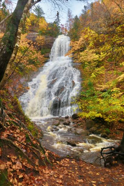 istock Majestic Waterfall in Autumn 1786389076
