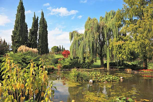 istock The picturesque pond 178639235