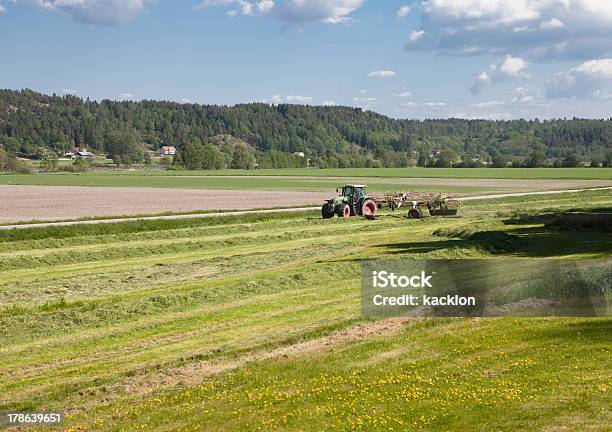 Ciągnika W Polu - zdjęcia stockowe i więcej obrazów Brązowy - Brązowy, Chmura, Fotografika