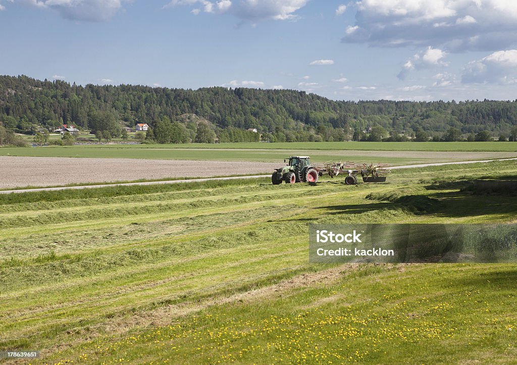 Trator em campo - Foto de stock de Agricultor royalty-free