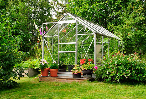 ガーデンの温室 - greenhouse ストックフォトと画像