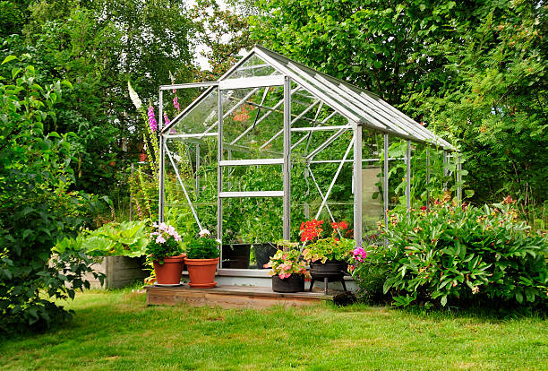 garden greenhouse - kas bouwwerk stockfoto's en -beelden