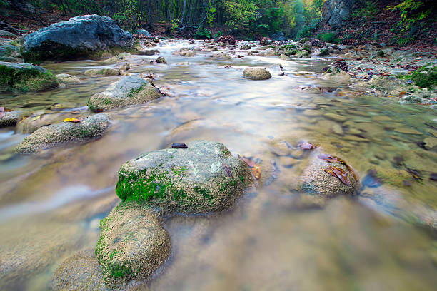 Landscape with mountain river in the autumn stock photo