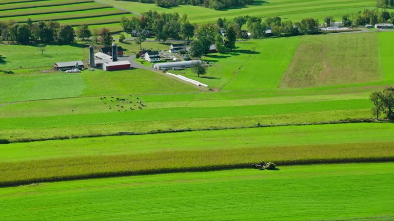 Mennonite Farm in Lycoming County, PA - Aerial