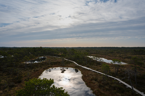 Seli swamp in Estonia on an autumn day, photo from the observation tower. High quality photo
