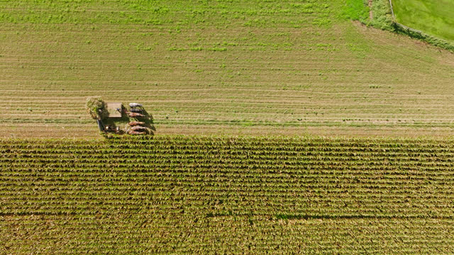 Top Down Drone Shot of Mennonite Farmer Working with Horse Drawn Cart
