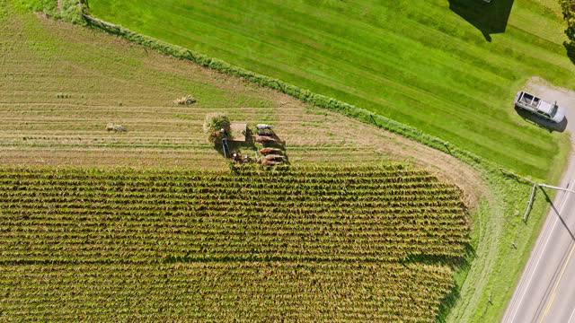 Top Down Drone Shot of Amish Farmer Working with Horse Drawn Cart