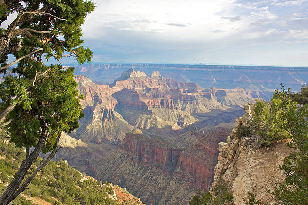 istock Grand Canyon North Rim 178641039