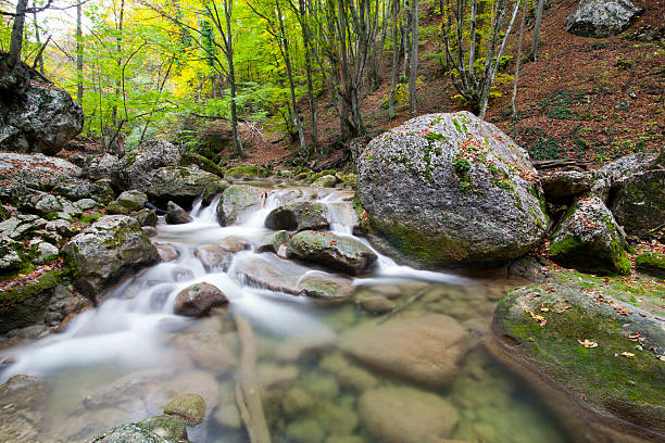 mountain river with a big stone and the wood stock photo