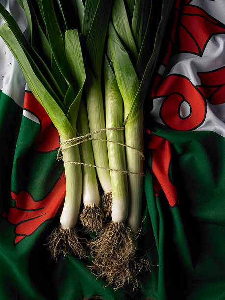 puerros en la bandera de gales - leek welsh flag flag welsh culture fotografías e imágenes de stock