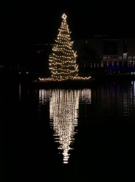 istock Christmastree reflecting on the Binnenalster Hamburg 1786416891