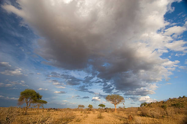 istock Spectacular clouds over Tsavo East plains, Kenya 178641806