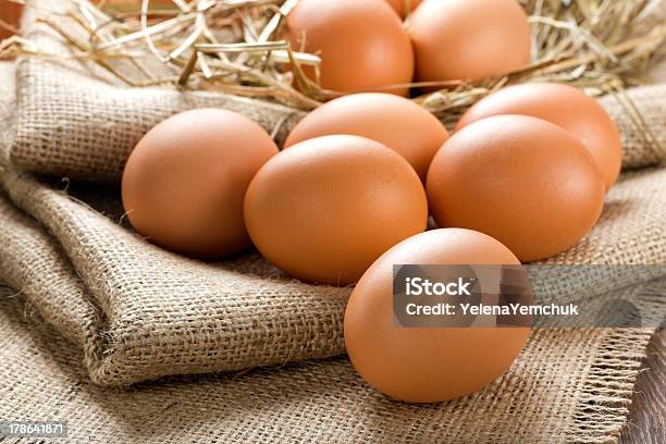 Eggs Stock Photo - Download Image Now - Agriculture, Animal Egg, Animal Shell