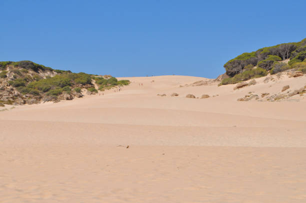 istock The beach in Bolonia 1786423877