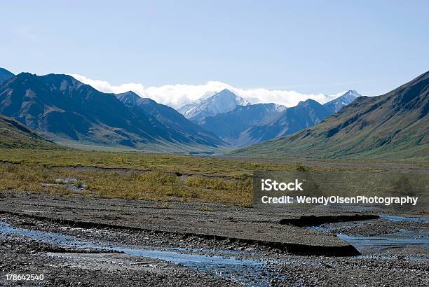 Alaskalandschaft Stockfoto und mehr Bilder von Alaska - US-Bundesstaat - Alaska - US-Bundesstaat, Denali-Nationalpark, Extremlandschaft