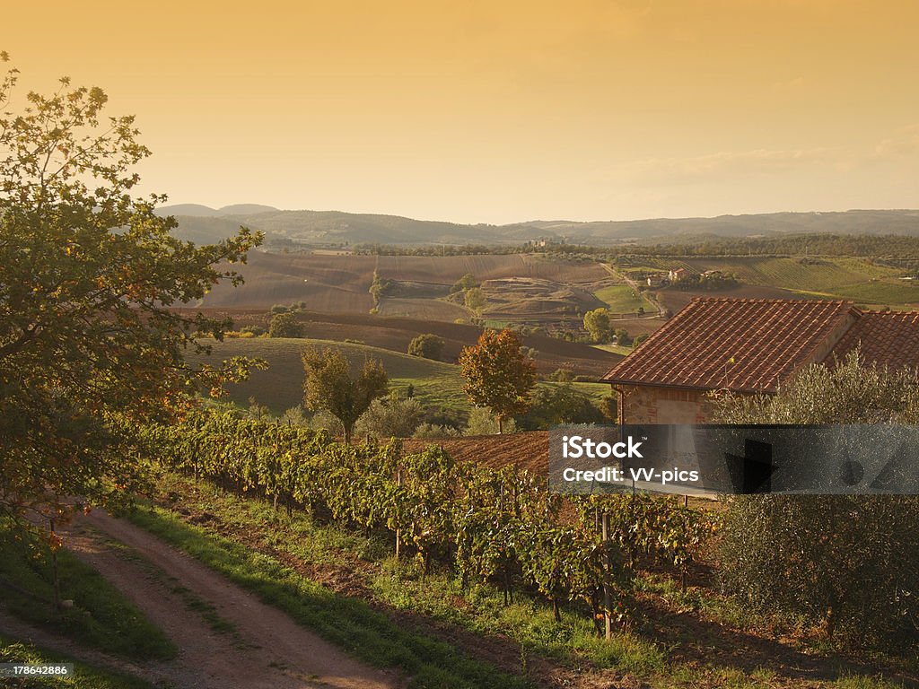Paisaje de otoño Toscana - Foto de stock de Agricultura libre de derechos