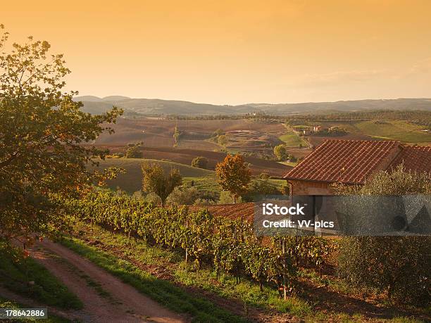 Paisaje De Otoño Toscana Foto de stock y más banco de imágenes de Agricultura - Agricultura, Aire libre, Ajardinado