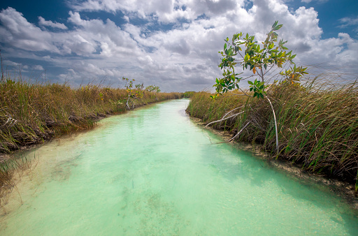 Beautiful Lagoon in Yucatán, Mexico