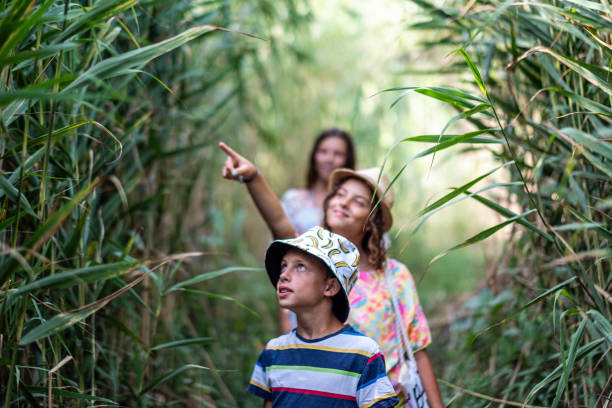 istock children walk through the reeds towards the beach 1786477569