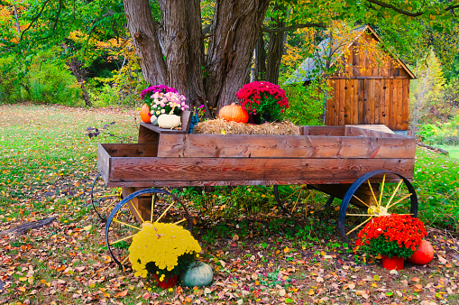 An old wooden buckboard is decorated with pumpkins, mums, and hay bales along a Vermont roadside.