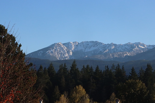 Fresh snow on Klahhane Ridge in Olympic National Park