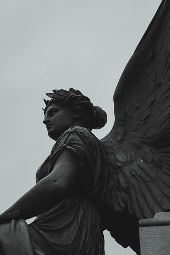 Profile of an angel which forms part of a larger statue in memorial of 19th-century leader Daniel O'Connell.  Designed and sculpted by John Henry Foley in 1866 and completed posthumously by his assistant in 1883. It stands at the entrance to O'Connell Street in Dublin Ireland. The statue is not protected by copyright.