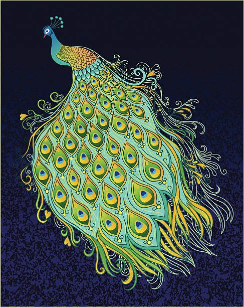 ilustraciones, imágenes clip art, dibujos animados e iconos de stock de pavo real en el fondo oscuro de textura - feather peacock ornate vector