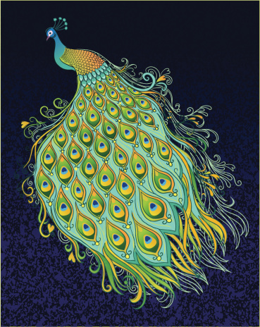 Peacock on Dark Textured Background