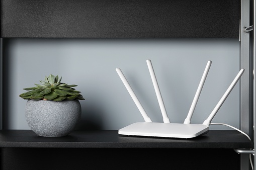 New white Wi-Fi router near potted plant on black shelf