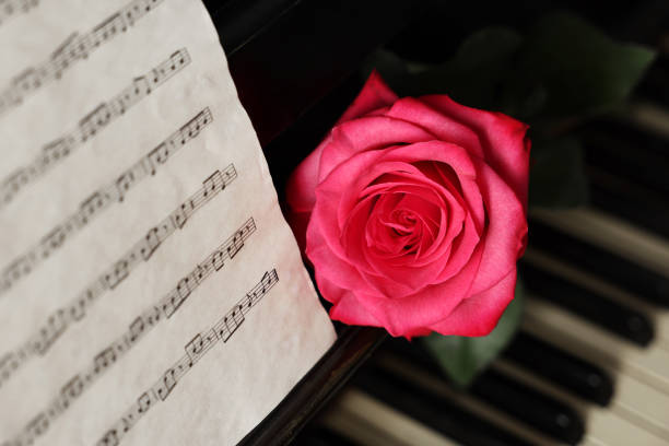 a red rose on the piano keys