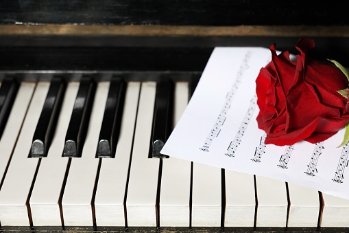 Beautiful red rose and musical notes on piano keys, space for text