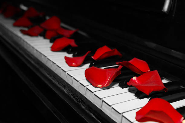 Red rose on the piano flaps - greeting card 