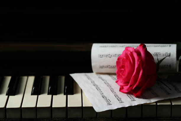 istock Beautiful pink rose and musical notes on piano keys 1786576439