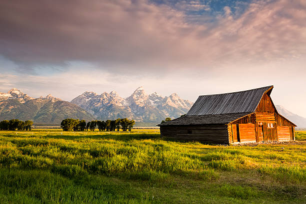 istock T. A. Moulton Homestead on Mormon Row 178663063