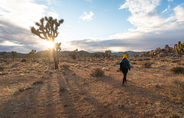 istock Woman in Joshua Tree National Park 1786650713