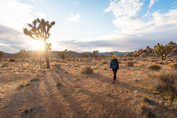 istock Woman in Joshua Tree National Park 1786651424