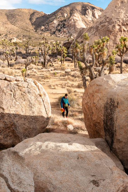 istock Woman in Joshua Tree National Park 1786653109