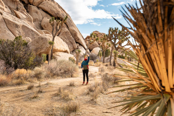 istock Woman in Joshua Tree National Park 1786654229