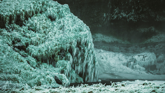 Frozen Plants; Foggy. A moody, winter day captured in Iceland, showcasing expansive frozen little plants in shades of blue and green colours. The absence of people allows for an undisturbed view, with waters seamlessly blending into the lands under a cloudy, daytime sky. A snowy day.\n\nClose-up photograph photograph of the frozen plants near a river in Iceland during the winter. The intricate details of ice and snow are revealed in the daylight, creating a serene portrayal of the region's cold beauty, devoid of human presence.