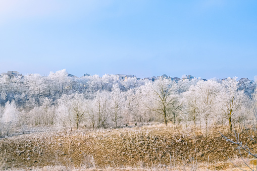 Suburban landscape at sunny day with white frost on trees in ravine