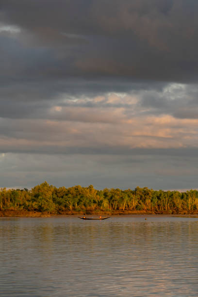 istock Sundarban national park 1786754098