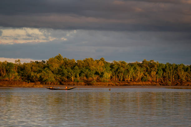 Sunset in sundarbun wet lands