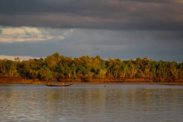 Beautiful nature in Golden light