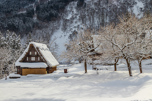 The dense snow covering the traditional Gassho-style House and paddy field worthy a lifetime visit. The Shirakawa-go (Shirakawa Village) is one of the World Heritage Site, in the Gifu Prefecture, Japan.