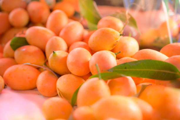 Fresh Plum mango fruit on the stand at the market Fresh Plum mango fruit on the stand at the market, Thailand. griff stock pictures, royalty-free photos & images