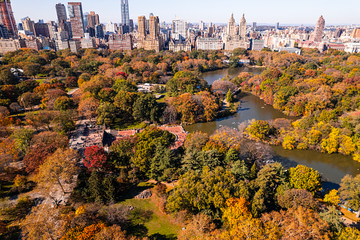 Aerial view of Central Park in autumn foliage, October 2023, New York City