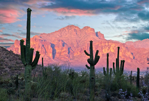 Saguaro Cactus Silhouettes at beautiful sunset in Arizona mountains. Awesome sky